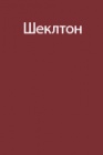 Опыт антарктической экспедиции Э. Шеклтона