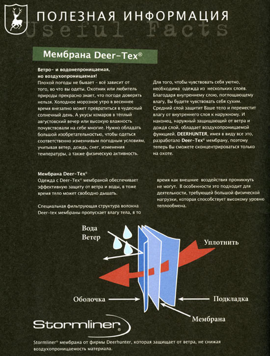 deer-17.jpg