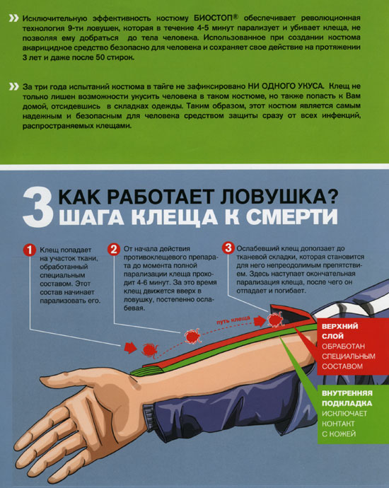 bs-10.jpg